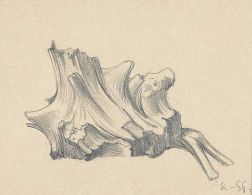 Краснопевцев Дмитрий Михайлович. Композиция